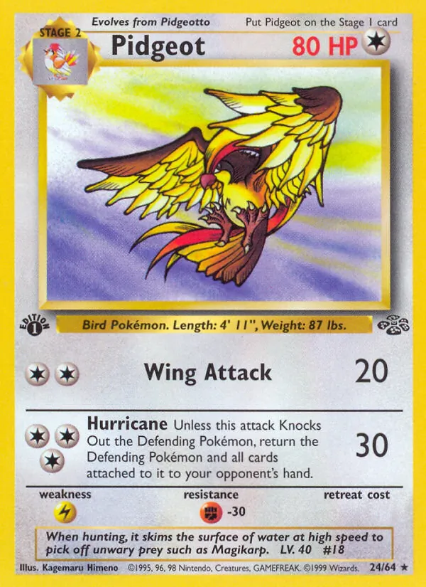 Pidgeot #24/64