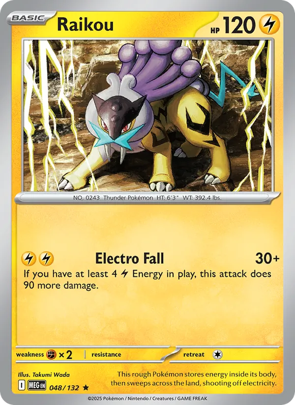 Raikou #048/132