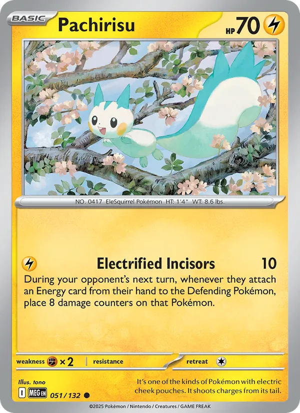 Pachirisu #051/132