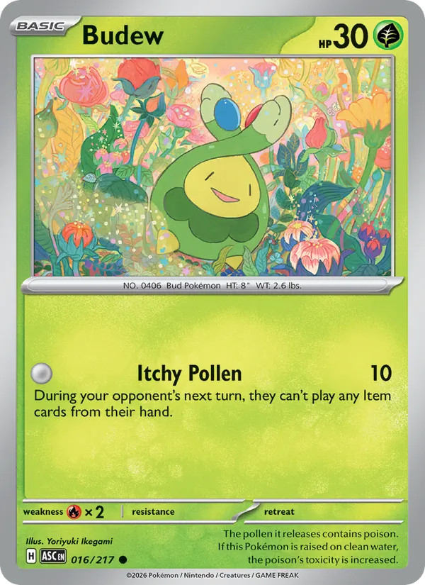 Budew #016/217