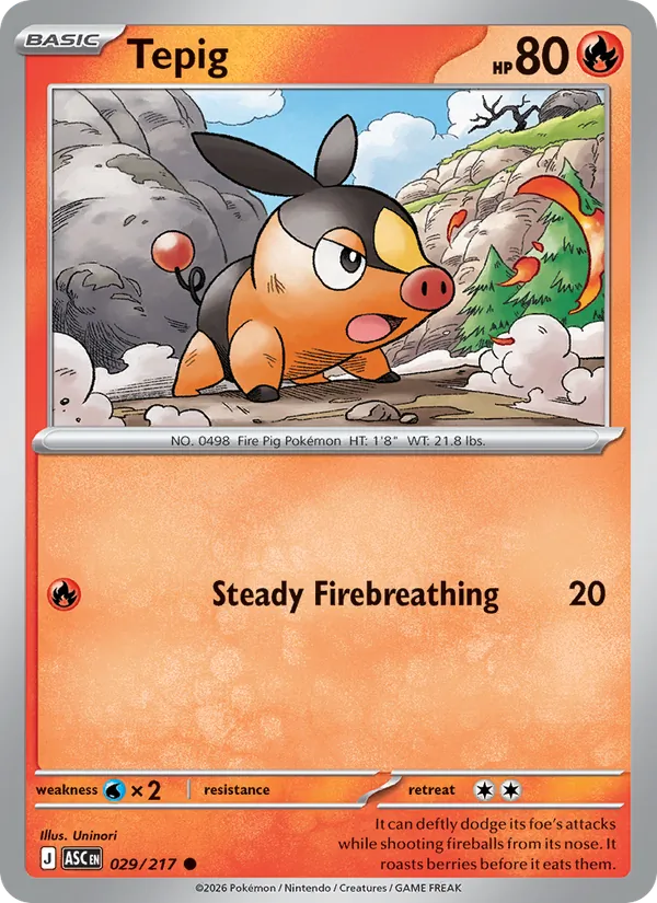 Tepig #029/217