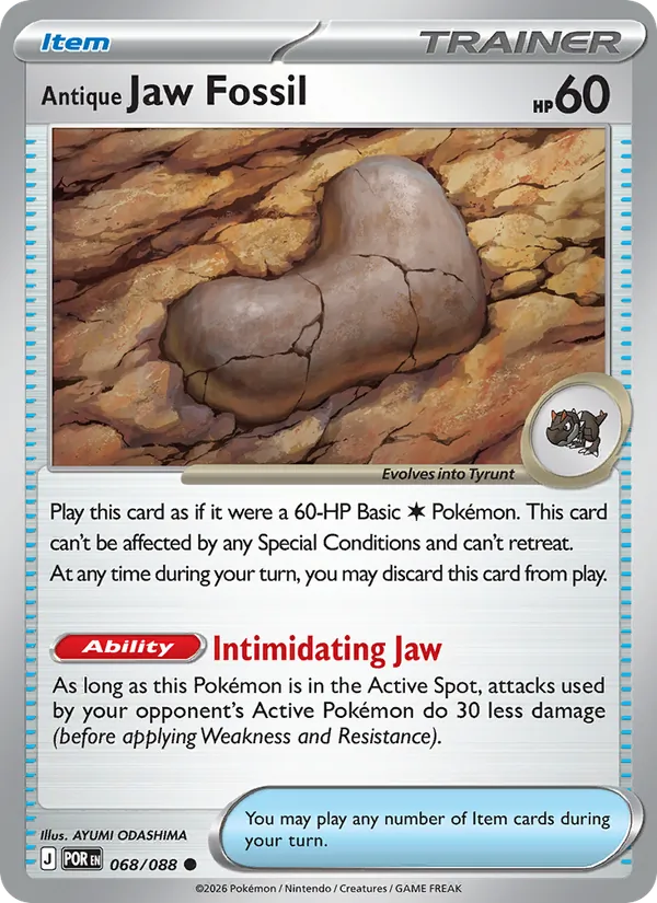 Antique Jaw Fossil #068/88
