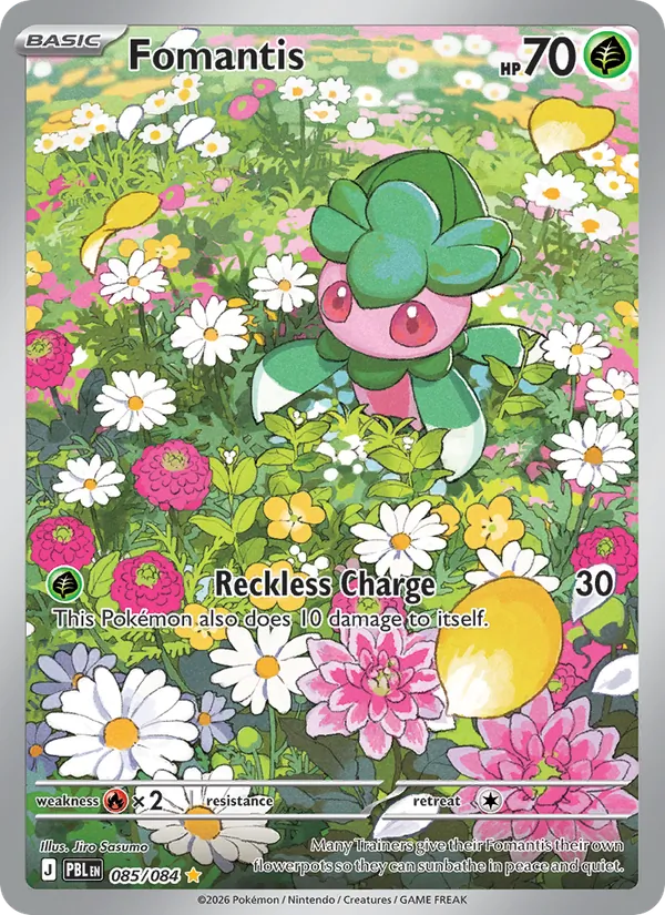 Fomantis #085/84