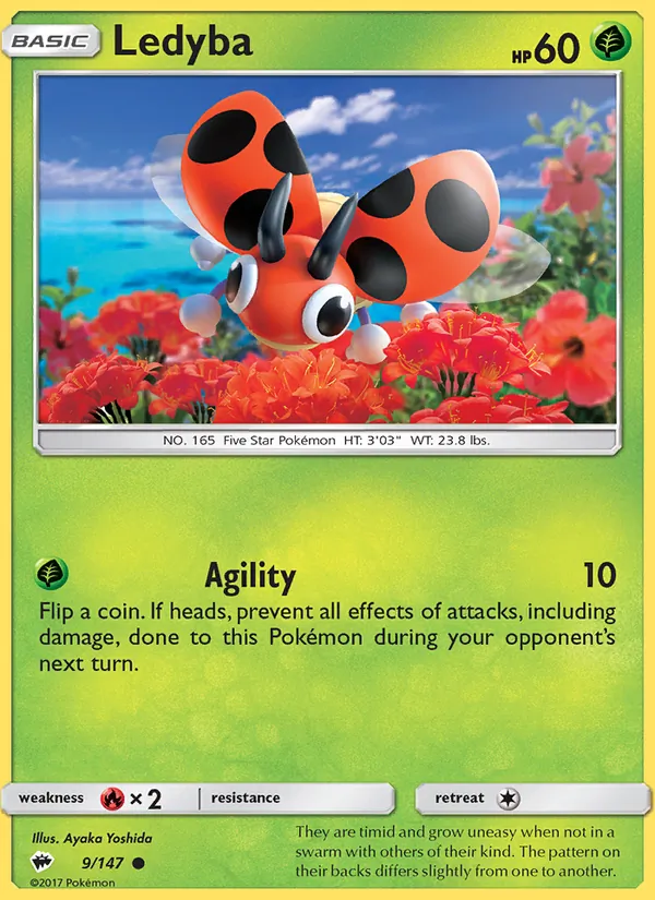 Ledyba #9/147