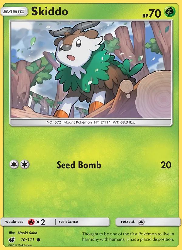 Skiddo #10/111