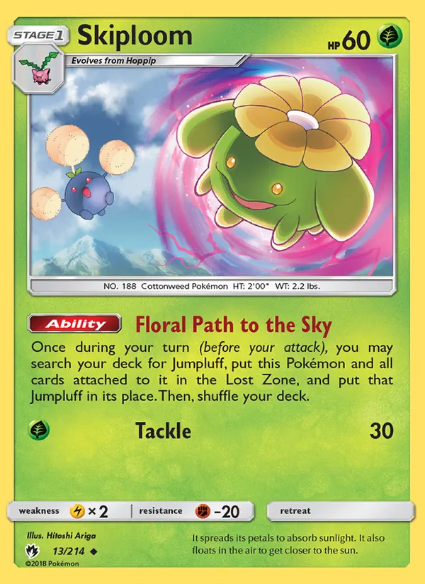 Skiploom #13/214