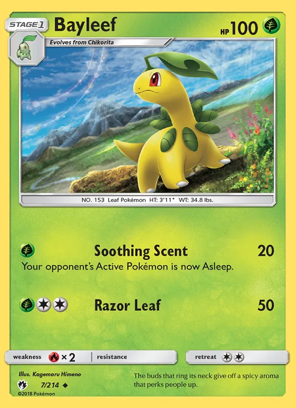 Bayleef #7/214