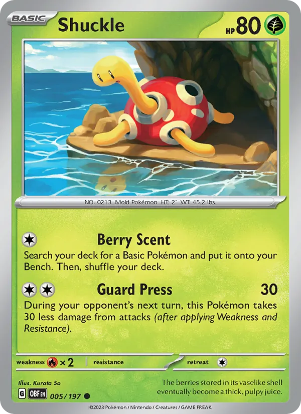 Shuckle #005/197