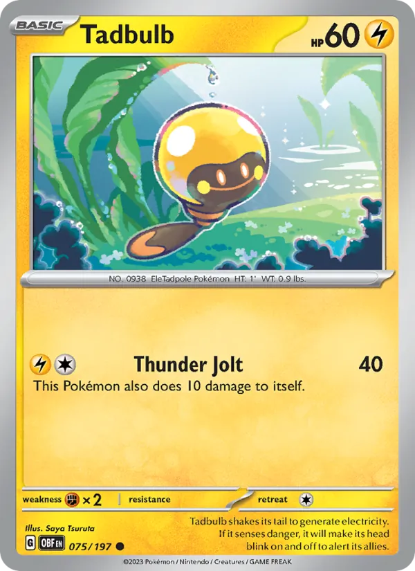 Tadbulb #075/197