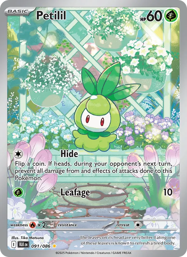Petilil #091/86