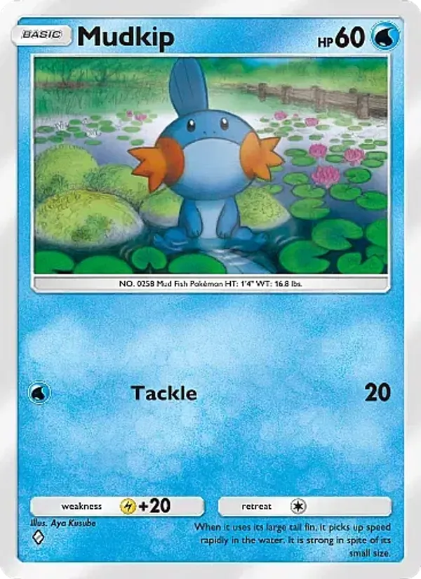 Mudkip #033/155
