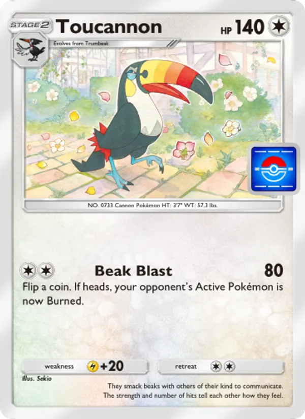 Toucannon #073