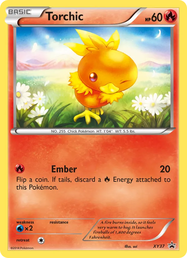 Torchic XY37