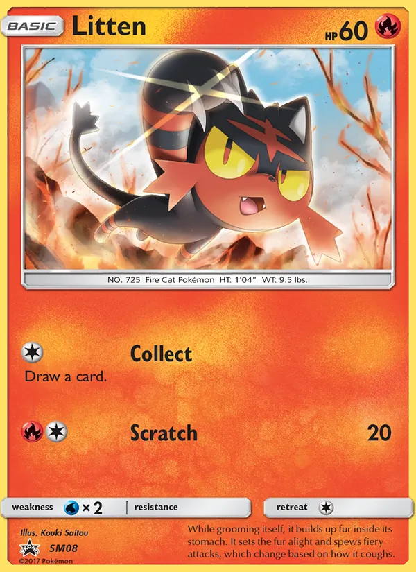 Litten SM08