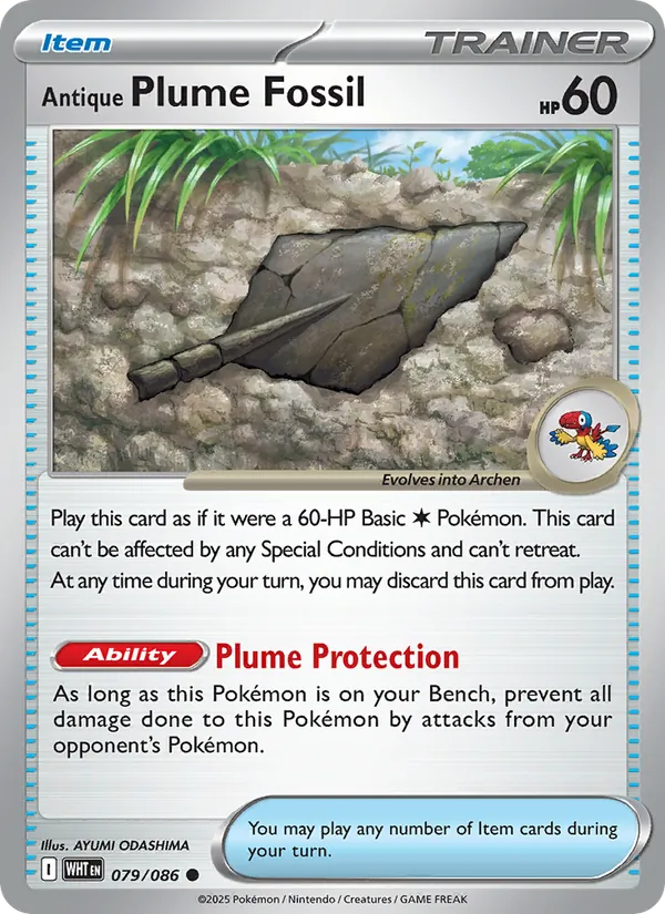 Antique Plume Fossil #079/86